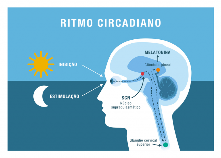 Melatonina: Entenda o Hormônio do Sono e Seus Benefícios